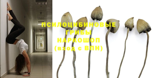 гашик Балахна
