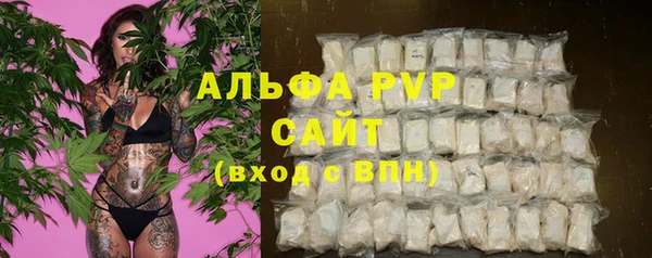 дживик Беломорск