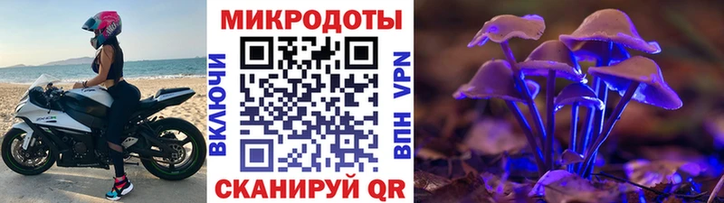 Псилоцибиновые грибы MAGIC MUSHROOMS  Холм 